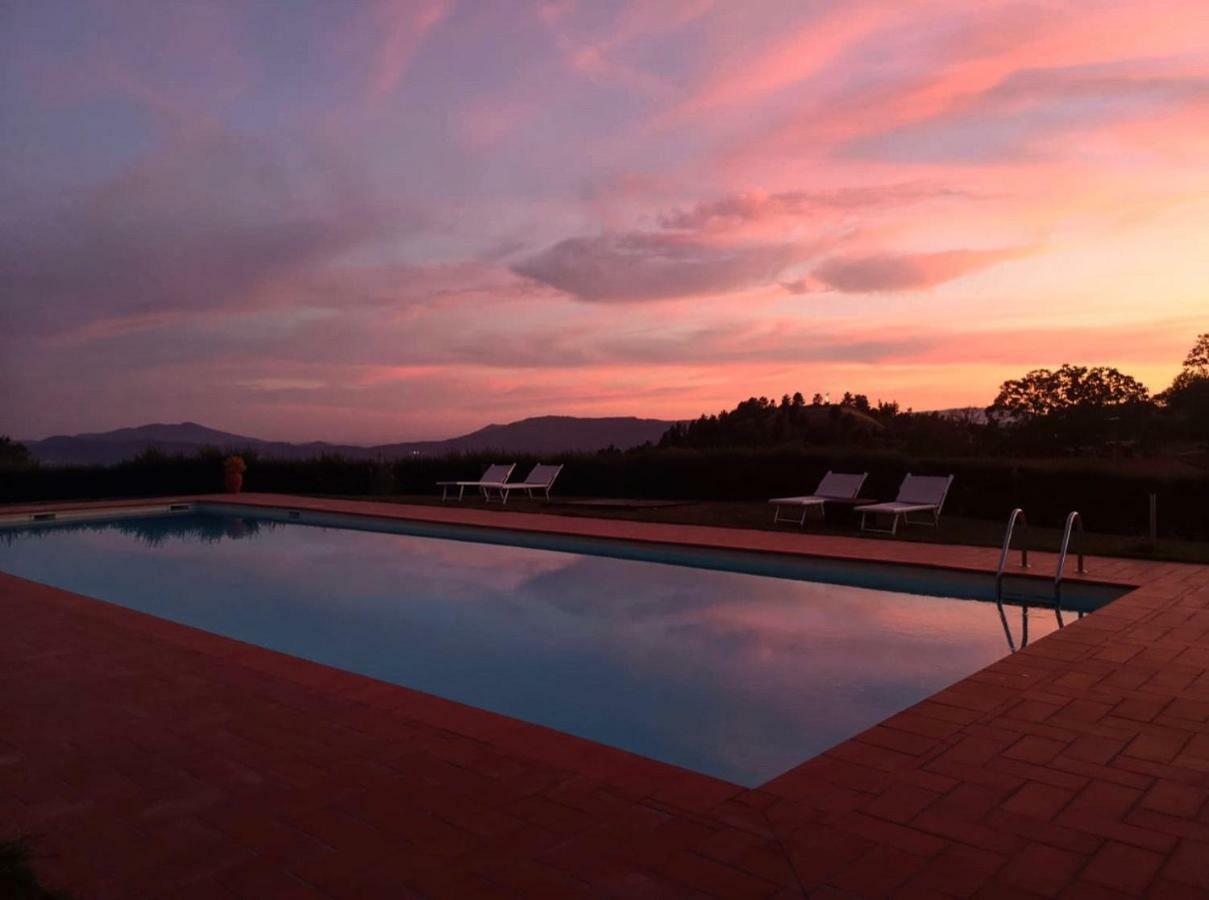 Podere Belvedere Bed & Breakfast Barberino di Mugello Bagian luar foto