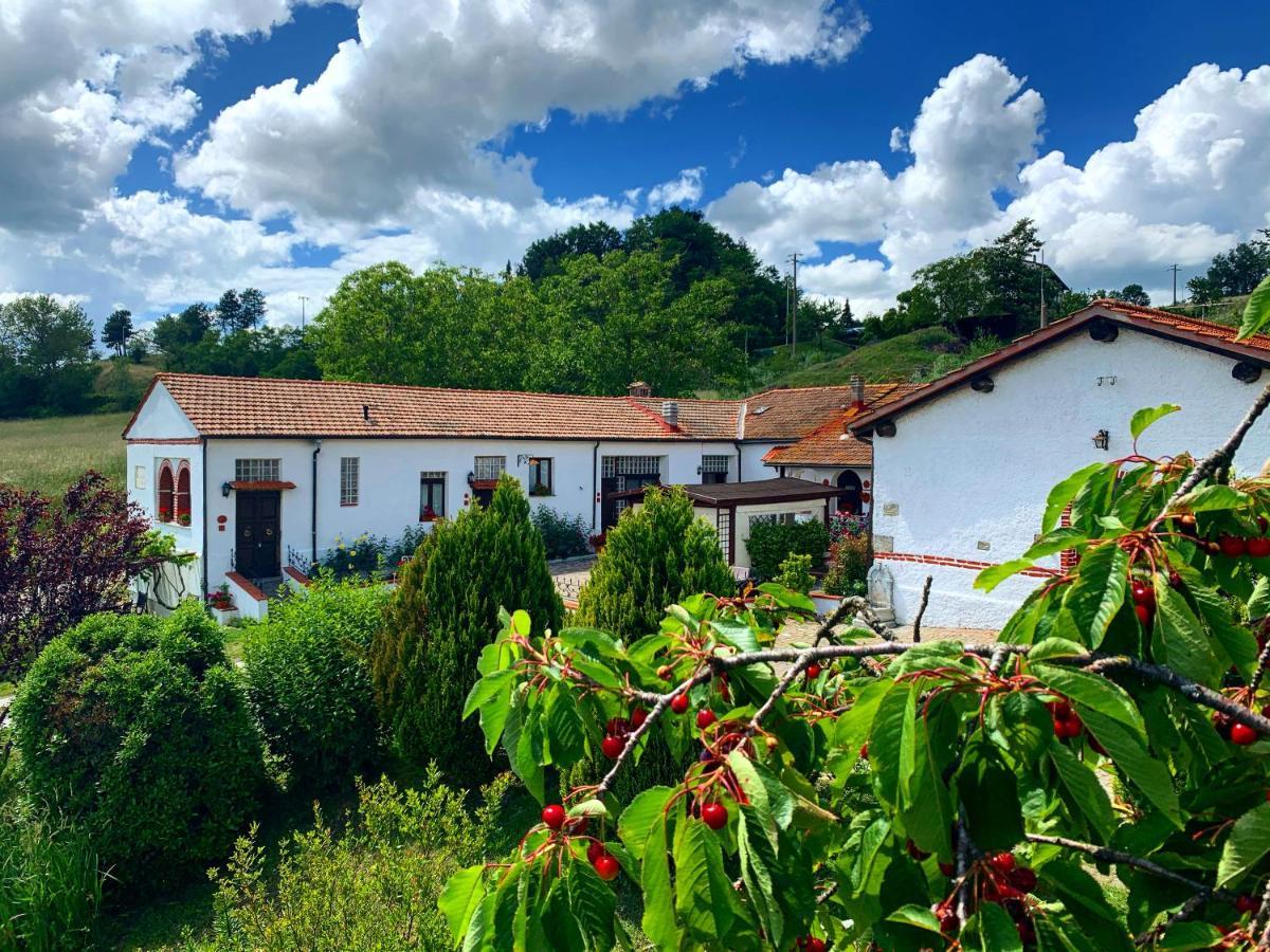 Podere Belvedere Bed & Breakfast Barberino di Mugello Bagian luar foto